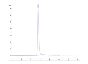 Human VEGFR2 Protein