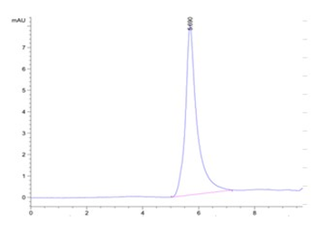 Human VEGFR1 Protein