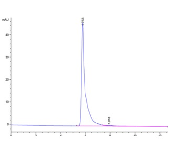 Human VEGFR2 Protein