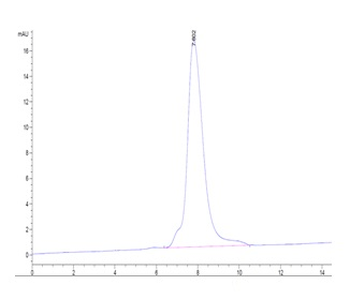 Human TSLP Protein