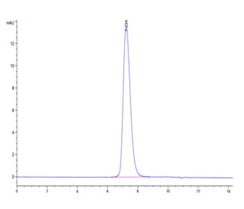 Human TNFRSF10D Protein