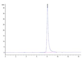 Human DR5 Protein