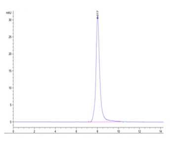 Human DR4 Protein