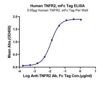 Human TNFR2 Protein