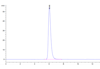 Human TNFR2 Protein