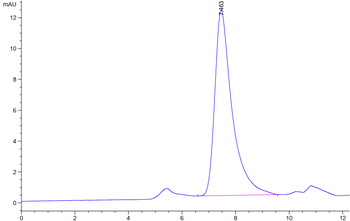 Human TNFRSF1A Protein