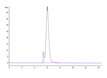 Monkey TNFR2 Protein