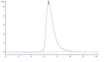 Mouse HAVCR2 Protein