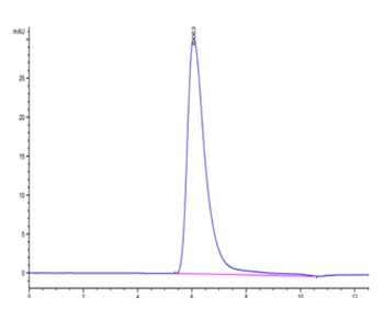 Human TGFBR1 Protein