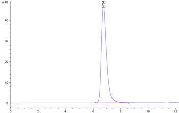 Human TGFBR2 Protein