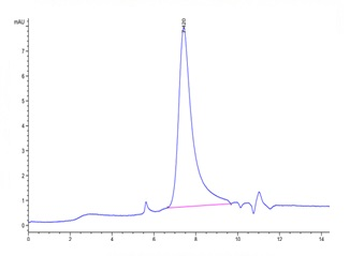 Human TFPI Protein