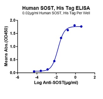 Human Sclerostin Protein