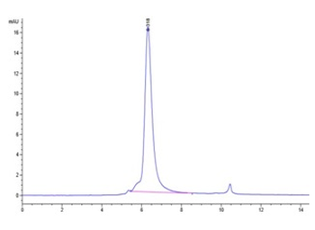 Human SIGLEC9 Protein