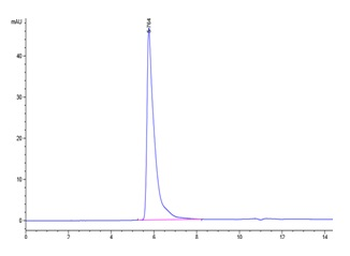 Human SIGLEC8 Protein