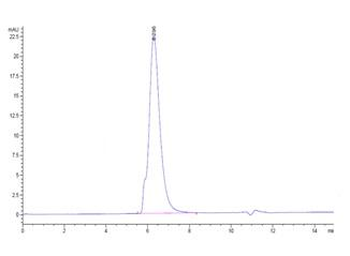 Human SIGLEC5 Protein