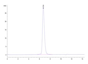 Human SIGLEC3 Protein