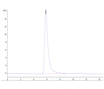 Human Semaphorin 4D Protein