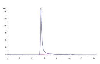 Human P-Selectin Protein