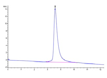 Human sCD14 Protein