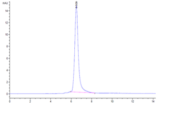 Human ROR2 Protein