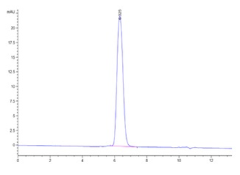 Human PDGF R Beta Protein