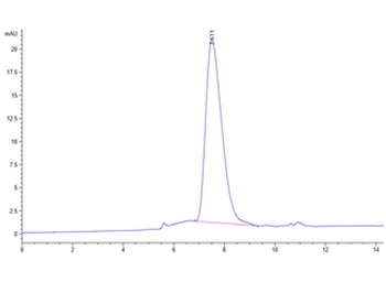 Human PDCD1LG2 Protein