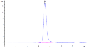 Human PD-L1 Protein