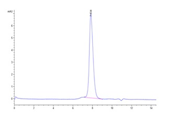 Monkey PD-L1 Protein