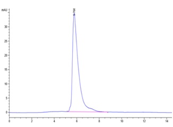 Human PD-1 Protein