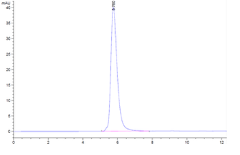 Monkey PD-1 Protein