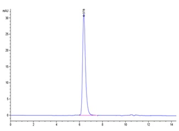 Human Notch 1 Protein