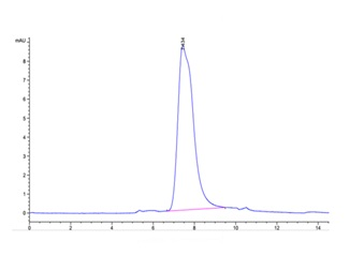 Human NKp30 Protein