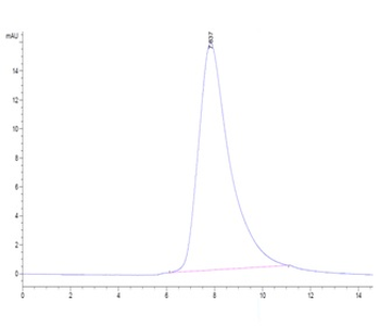 Mouse Mesothelin Protein