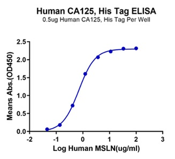 Human Mesothelin Protein