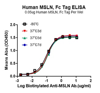 Human Mesothelin Protein