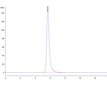 Human Mesothelin Protein