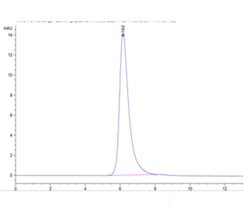 Monkey Mesothelin Protein