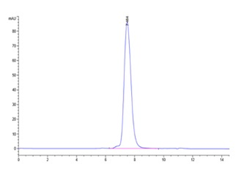 Human MICB Protein