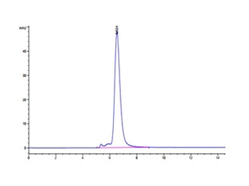 Human MICA Protein