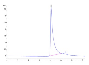 Human MCP-1 Protein