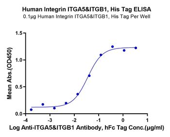 Human Lntegrin Alpha 5 Beta 1 (ITGA5 & ITGB1) Protein