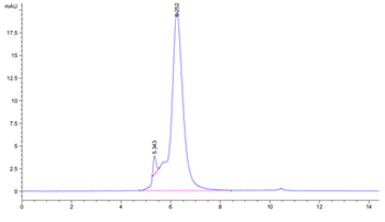 Human IL-13RA1 Protein