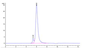 Human IL-6R Protein