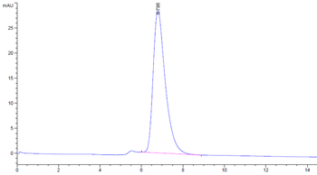 Human IL-17RA Protein