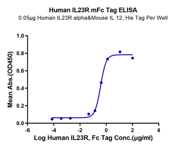 Human IL-23 R Protein