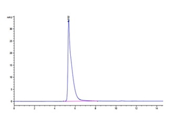 Human IL-13RA2 Protein