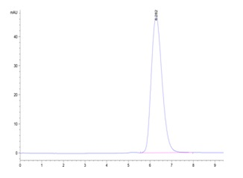 Human IL-13RA1 Protein