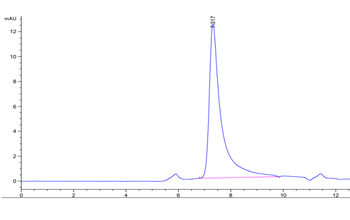 Human IL-23 Alpha & mouse IL-12 Beta Protein