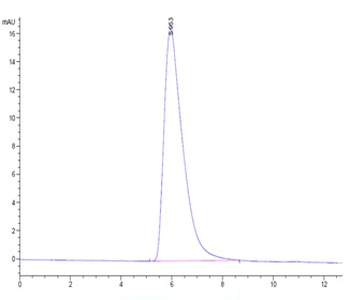 Human IL-7R Alpha Protein