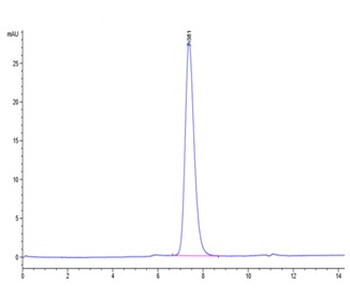 Human IL-7R Alpha Protein